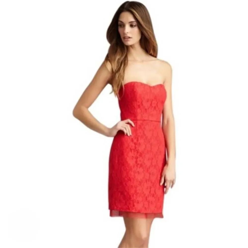 BCBGMaxAzria Roselle Dress